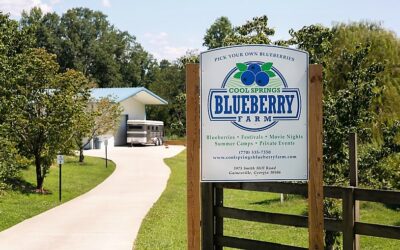 Cool Springs Blueberry Farm